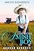 The Lost Little Amish Boy