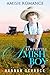 The Lost Little Amish Boy by Hannah Schrock