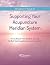 Supporting Your Acupuncture Meridian System by Michelle Meramour
