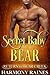 Secret Baby Bear by Harmony Raines
