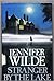 Stranger by the Lake by Jennifer Wilde