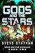 Gods and the Stars by Steve Statham