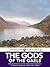 The Gods of the Gaels by Eleanor Hull
