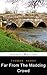 Far From the Madding Crowd : (Illustrated)
