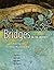 Bridges on the Journey: Choosing an Intimate Relationship with Jesus (A Woman's Journey of Discipleship)