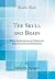 The Skull and Brain by Nicholas Morgan