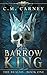 Barrow King: The Realms Book One (A LitRPG Adventure)