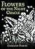 Flowers of the Night Oracle (Rockpool Oracle Card Series)