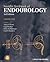 Smith's Textbook of Endourology