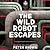 The Wild Robot Escapes Lib/E (Wild Robot Series, 2)