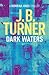 Dark Waters (Deborah Jones Crime Thriller, #2)