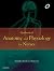 Textbook of Anatomy and Physiology for Nurses - E-Book by Mario Vaz