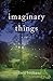 Imaginary Things: a novel