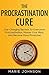 The Procrastination Cure by Marie Johnson