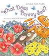 What Does Bunny See? by Linda Sue Park