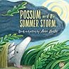 Possum and the Summer Storm by Anne Hunter