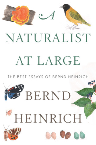 A Naturalist At Large: The Best Essays of Bernd Heinrich – Acclaimed Natural History and Memoir from Decades of Discovery