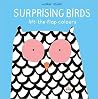 Surprising Birds: Lift-the-Flap Colours