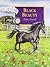 Black Beauty by Anna Sewell