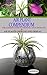 AIR PLANTS COMPENDIUM by Jack Rowling
