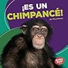 ¡Es un Chimpancé!