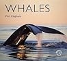 Whales