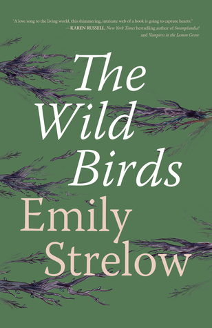 The Wild Birds (Hardcover)