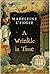 A Wrinkle in Time (Time Qui...