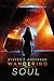 Wandering Soul (Reunificati...
