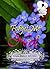 Forget Me Not (An Alaskan Romance)