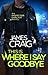 This is Where I Say Goodbye (Inspector Carlyle, #12)