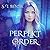 Perfekt Order (The Ære Saga #1)