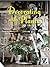 Decorating with Plants: The Art of Using Plants to Transform your Home