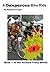 A Dangerous Bike Ride: Book...