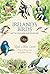 Ireland's Birds