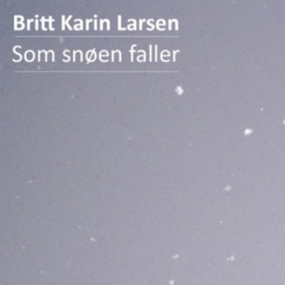 Som snøen faller (Hardcover)