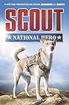 Scout: National Hero