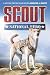 Scout: National Hero (Scout #1)