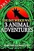 3 Animal Adventures: Set of Three Books: Lost in Lion Country, Dinosaur Canyon, Island of Giants (You Say Which Way)