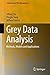 Grey Data Analysis: Methods, Models and Applications (Computational Risk Management)