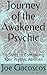 Journey of the Awakened Psy...