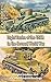 Light Tanks of the USSR in ...