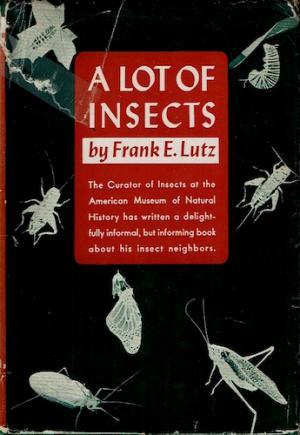 A lot of insects;: Entomology in a suburban garden