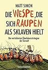 Die Wespe, die si...