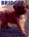 Bridget
