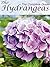 Hydrangeas : The Complete Guide