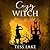 Cozy Witch (Torrent Witches #8)