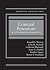 Criminal Procedure, A Contemporary Approach (Interactive Casebook Series)