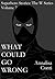 What Could Go Wrong (Superhero Stories: The W Series Book 7)