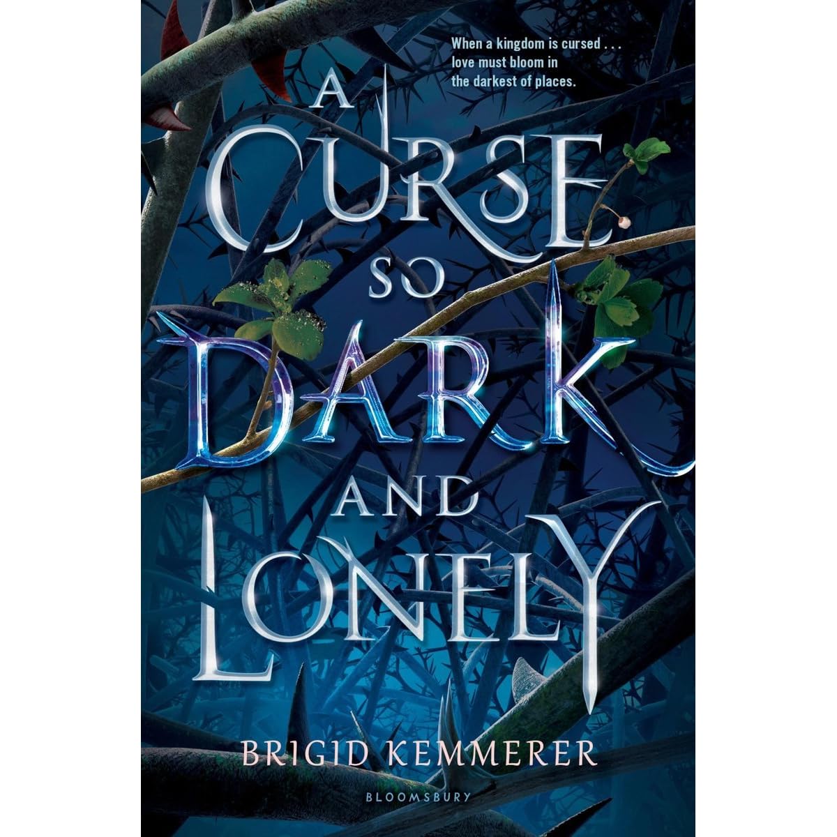 A Curse So Dark and Lonely (Cursebreakers, #1) by Brigid Kemmerer